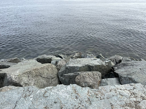 IMG_1224.jpeg
