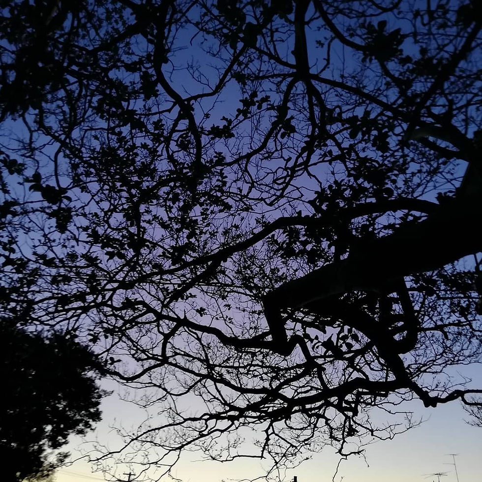 IMG_20191231_235721_958