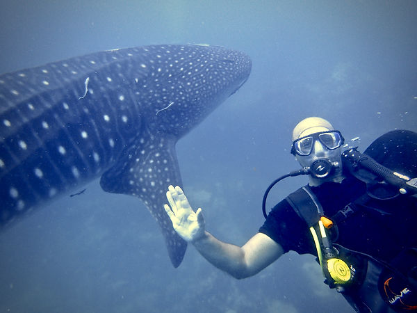 Angelot Diving - Koh Samui Thailande