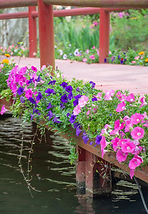 DSC_2405 resample.jpg