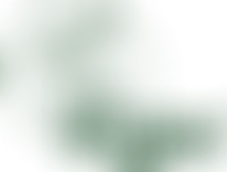 Lägre kolesterolvärden hos veganer