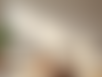 Elevate Your Living Space with Distinctive Home Interiors at Harvey Bruce Living