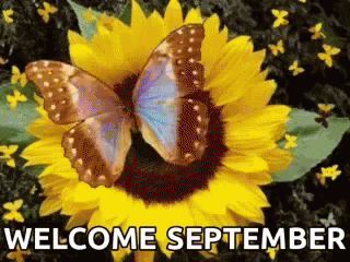 September.gif