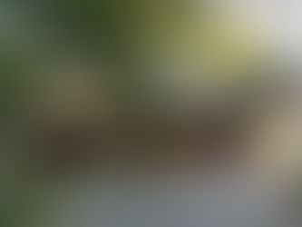 TOKYO : Une maisons en bois à toit de chaume près de Tokyo : 東京近郊茅葺の家