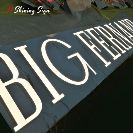 High-Impact LED Signage: Elevating Storefronts and Corporate Spaces