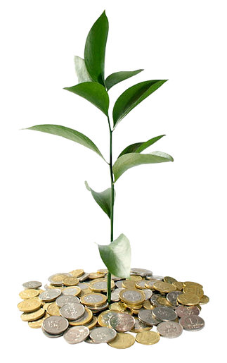 coins plant.png