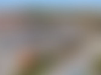 Why Neighborhood Real Estate Photos Help Homes Sell Faster