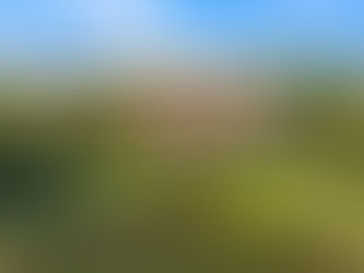 Drone Photos in Real Estate: Why It’s Trending