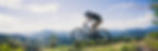 Orbea_Rallon_11_edited