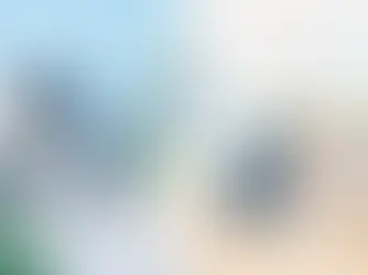 Lieferung mit oder ohne Montage wählen