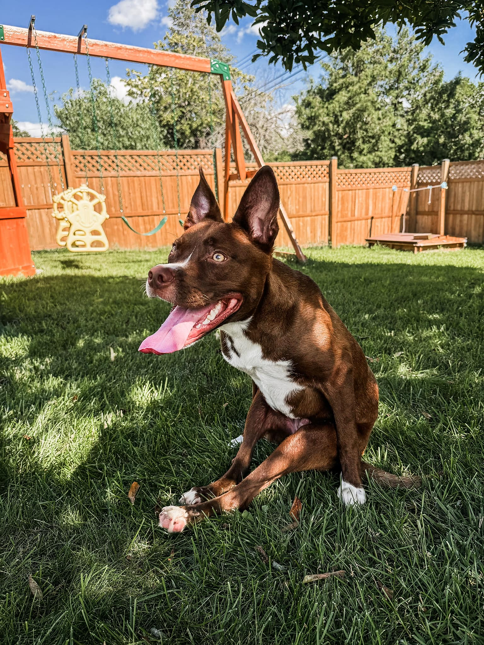 Kona