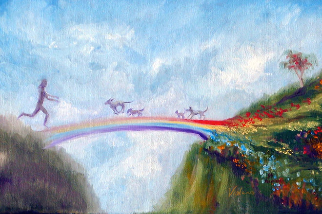 RainbowBridgeViolano_3x2.jpg