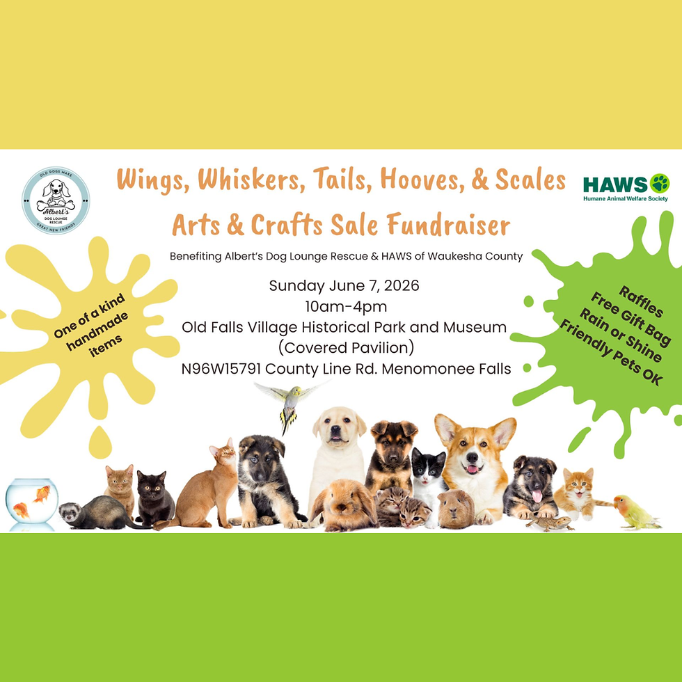 Wings, Whiskers, Tails, Hooves, & Scales - Arts and Crafts Fundraiser