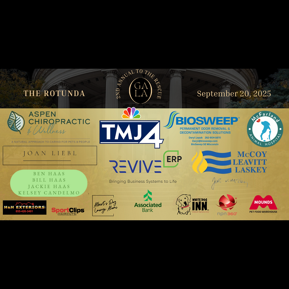 2nd Annual to the Rescue Gala