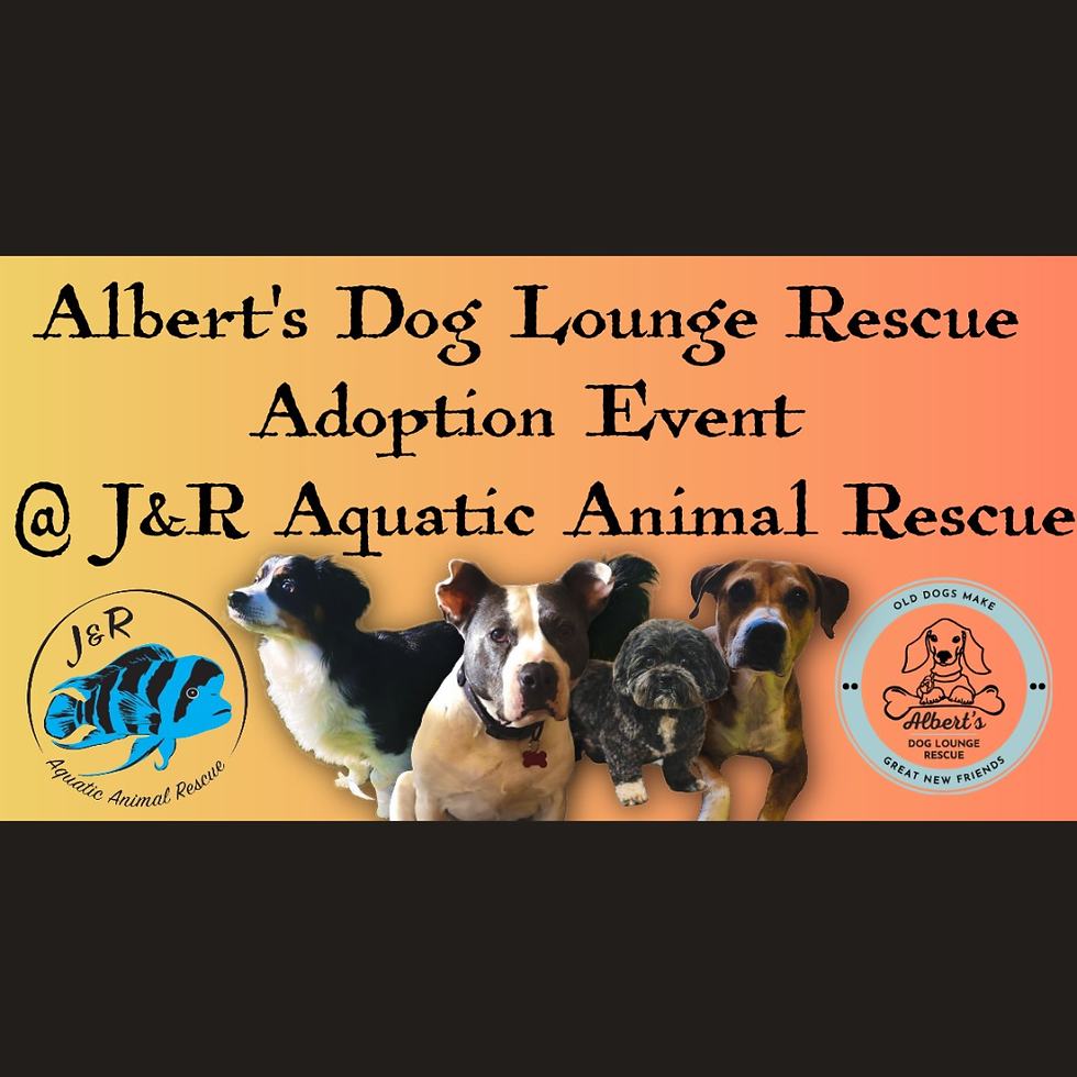 Adoptable Dog Event at JRAAR!