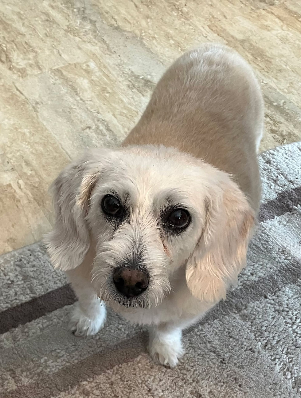 Bindi