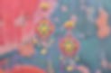 PALOMA.png