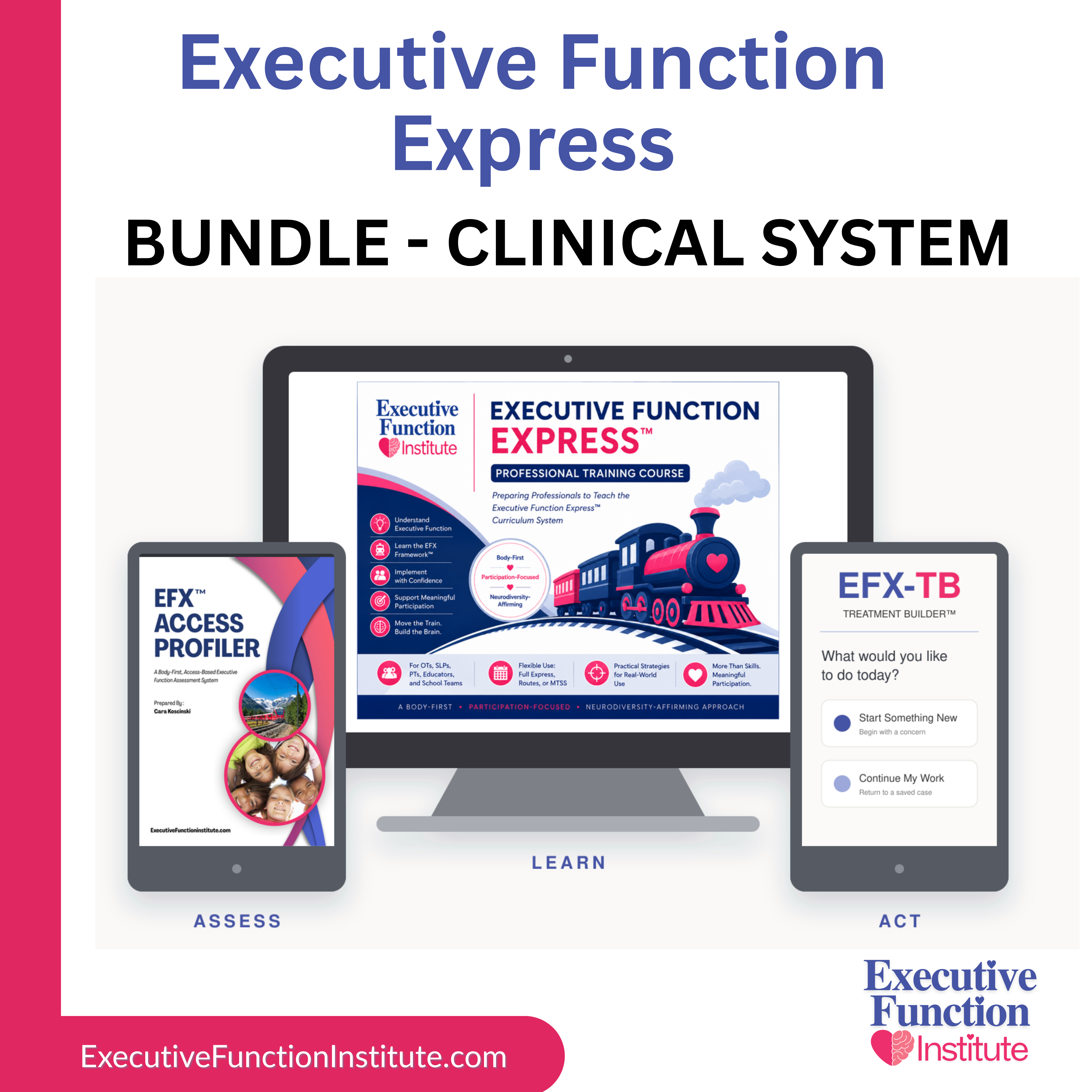 Executive Function Express™ Clinical System
