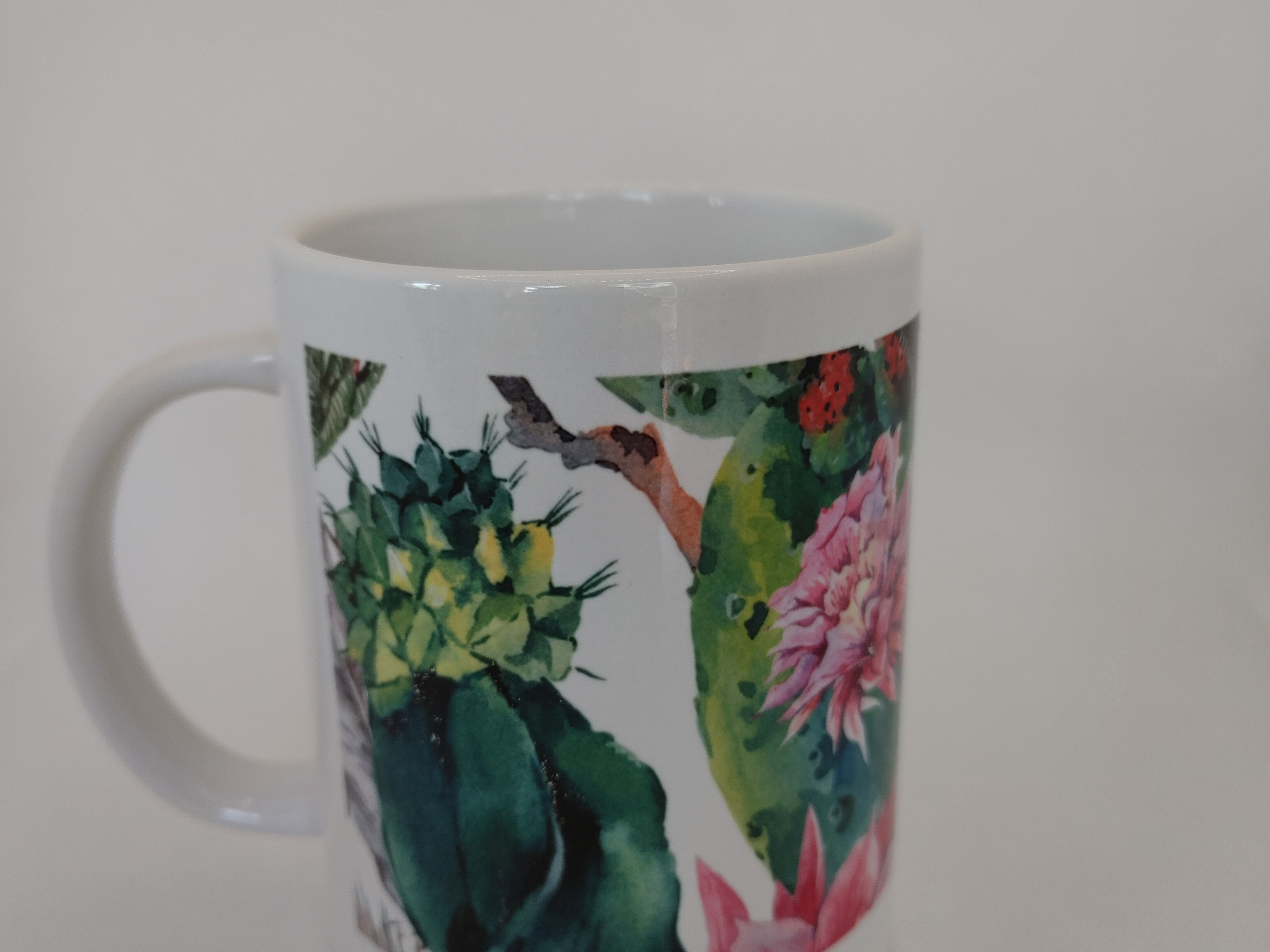 Succulent mug