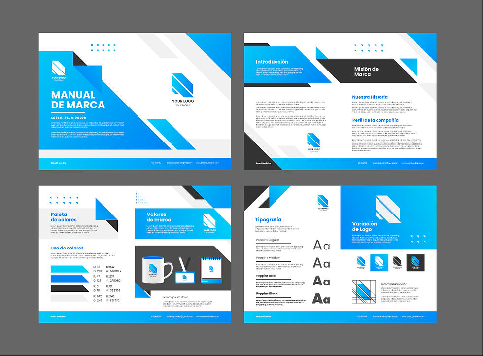 MANUAL DE IDENTIDAD