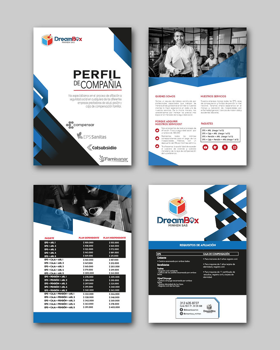DISEÑO BROCHURE
