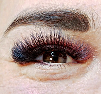 0126211733_edited_edited_edited.jpg