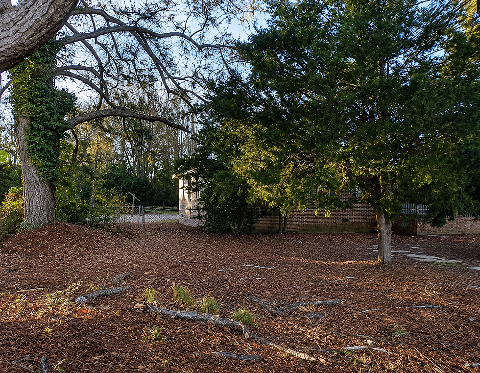 Exterior Backyard.png