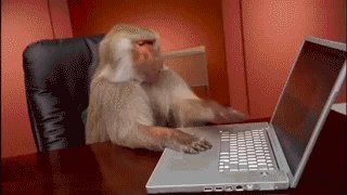 bcf49e155ac5b34cd5972e8c18874afd.gif