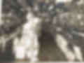 IMG_3842.PNG