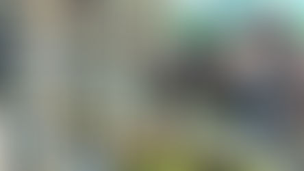 Thị trường nhà đất đã có chuyển biến tích cực