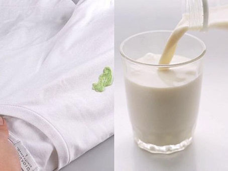 Dễ dàng loại bỏ vết bẩn cứng đầu trên quần áo bằng sữa