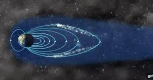 Thảm họa dầu mỏ phải lường trước hậu quả và chuẩn bị cho chúng