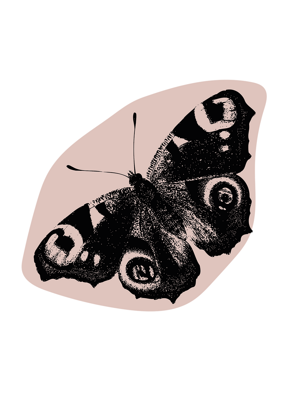 Concert - K Momie & WIP - Octobre 27 mars