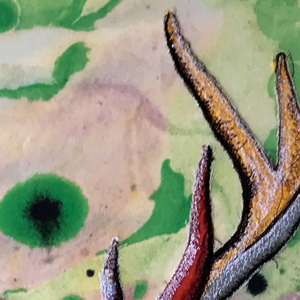 Thumbnail: Stag A3 Mounted Print