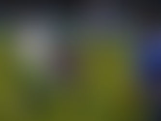 PREVIEW | St Albans City (A)