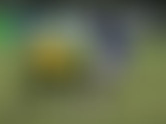 MATCH REPORT | Wealdstone 2-1 Maidstone United