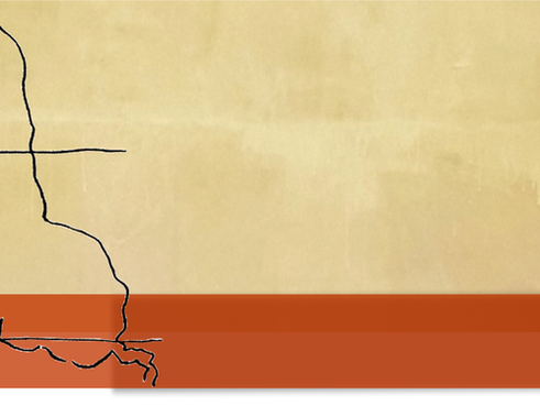 Colonialidade do poder e horizontes Descoloniais: gênero, epistemologias e o projeto do Bien Vivir