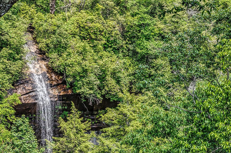 falls1.jpeg