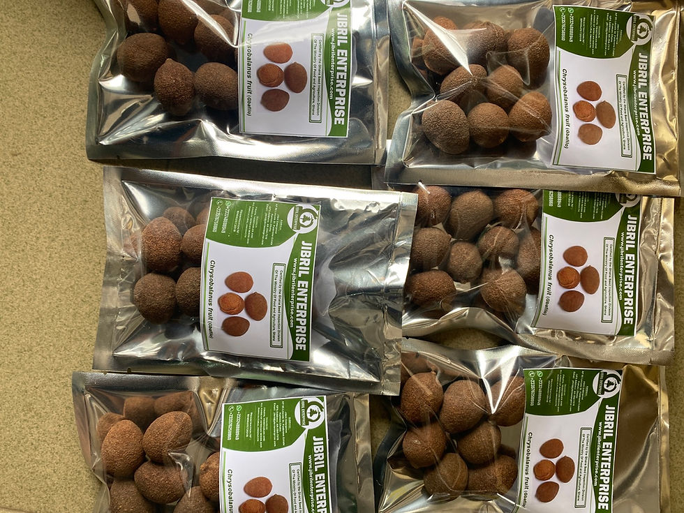 Thumbnail: Chrysobalanus icaco, Gbafilo , 7 balls /$10, shipping $15, phyto certificate $12
