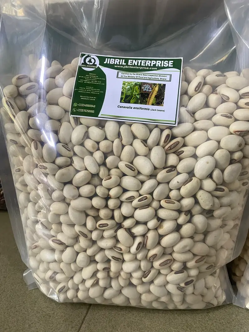 Canavalia ensiformis, Jack beans, 200g/$8, shipping $10, phyto certificate $12