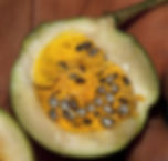Thumbnail: Voacanga Africana  seeds powder , 100g/$15, shipping /$15, phyto cert. $12