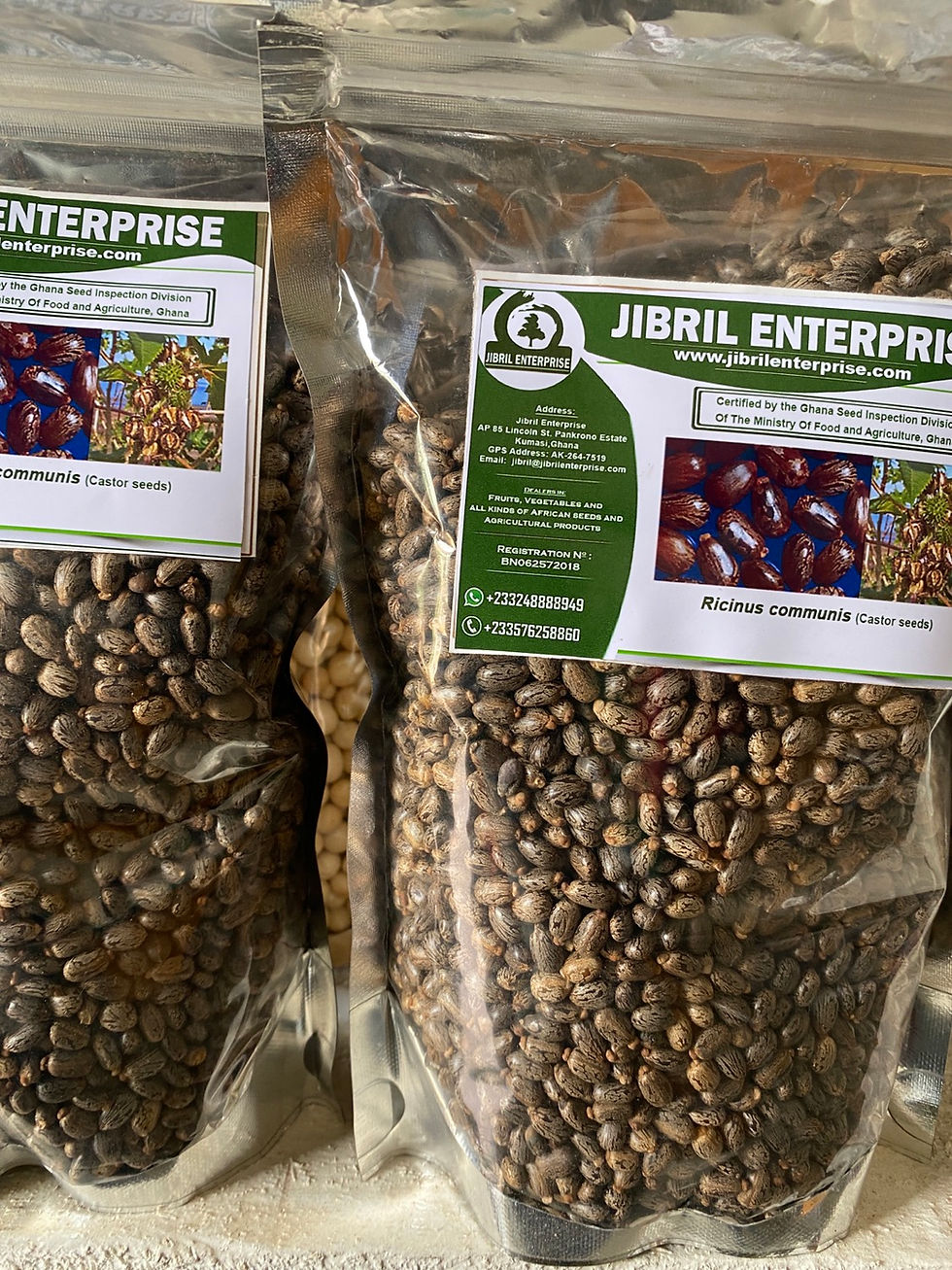 Thumbnail: Castor beans, 200g/$10, shipping cost /$20, phyto certificate cost /12