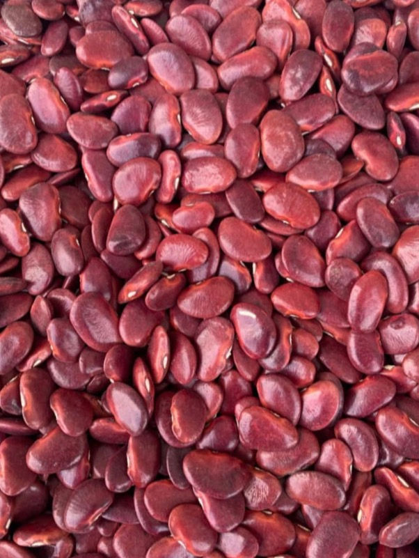 Thumbnail:  Red Lima beans, 100g /$11, shipping $15, phyto certificate $12
