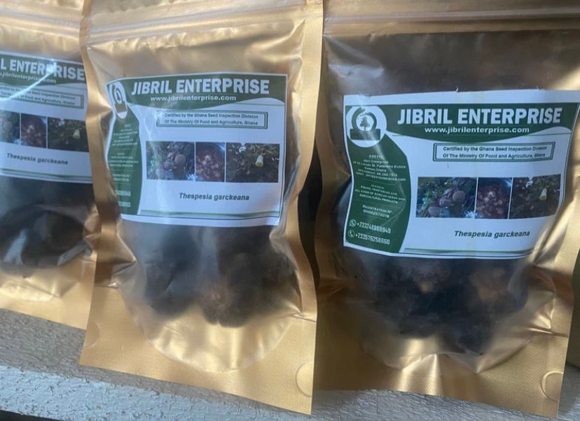 Thumbnail: Snot apple,(Thespesia garckeana), 10 fruits/$10, shipping $15, phyto cert. $12