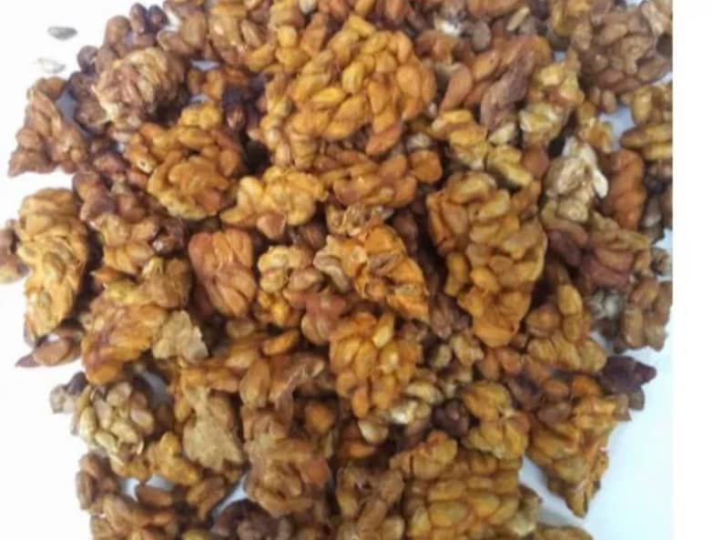 Voacanga africana（ボアカンガ・アフリカーナ）の種子 500粒 Voacanga