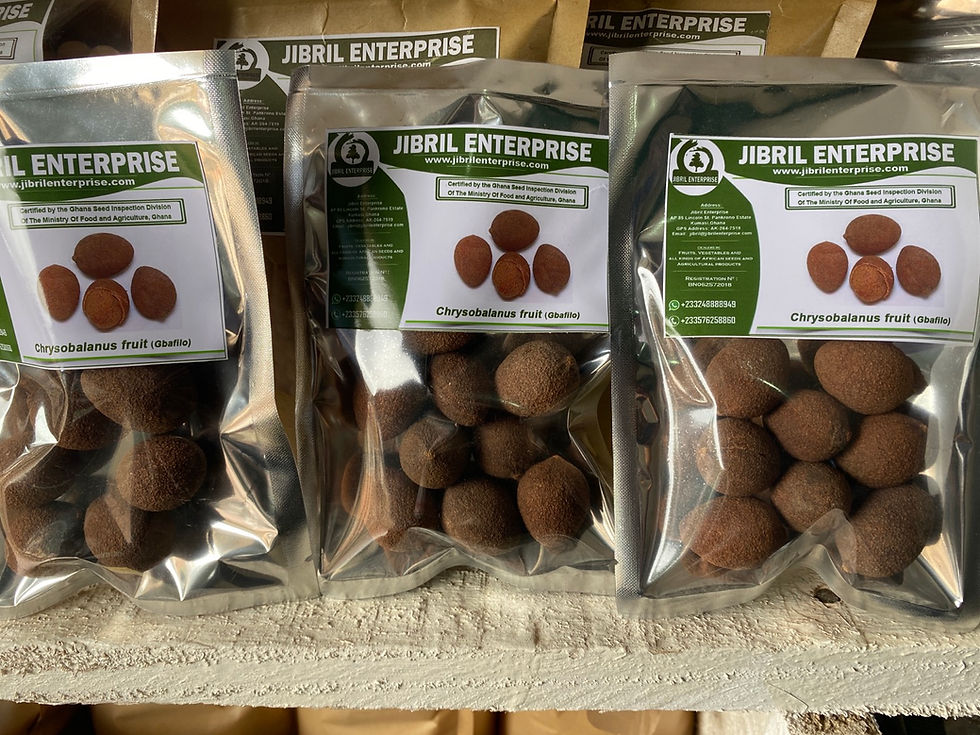 Thumbnail: Chrysobalanus icaco, Gbafilo , 7 balls /$10, shipping $15, phyto certificate $12