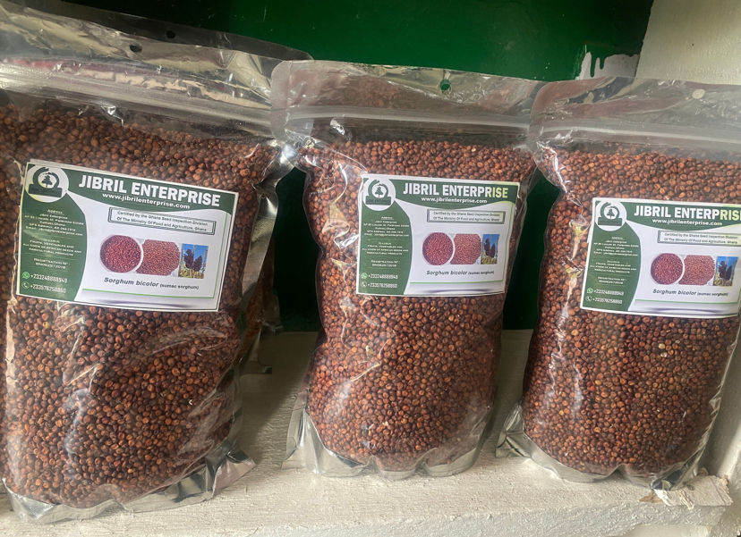 Thumbnail: Sumac sorghum, non hybrid, 300g/$10,  shipping $20, phyto certificate $12
