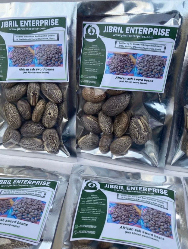 Thumbnail: Ash African sword beans, 200g seeds /$10, shipping $20, phyto certificate $12