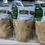Thumbnail: Mondia whitei root powder, 100g/$13, shipping/$10, phyto certificate$12