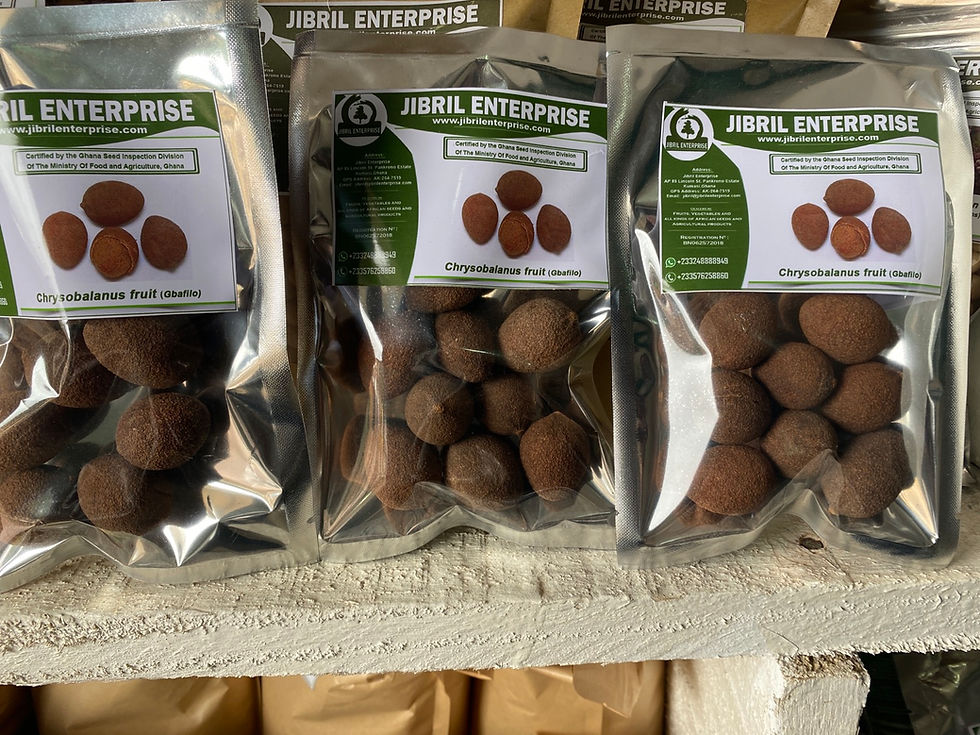 Thumbnail: Chrysobalanus icaco, Gbafilo , 7 balls /$10, shipping $15, phyto certificate $12